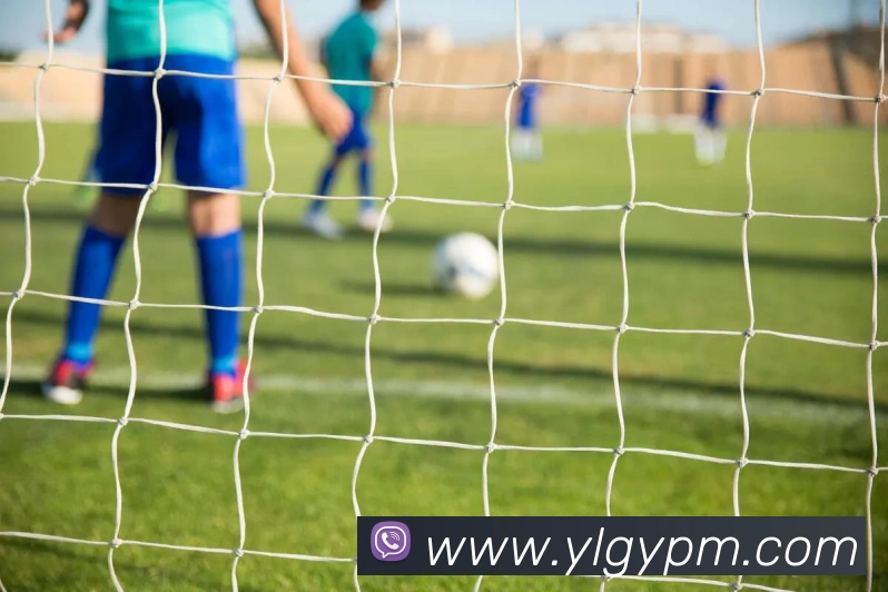 奖项2